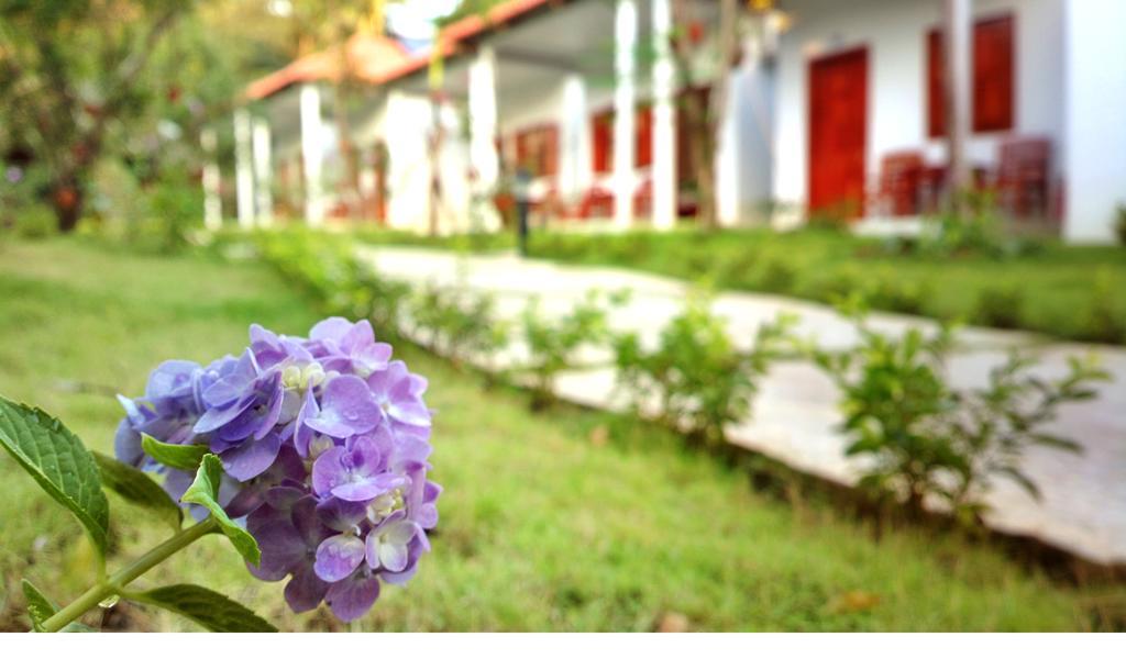 Highland Bungalow Phu Quoc Dış mekan fotoğraf