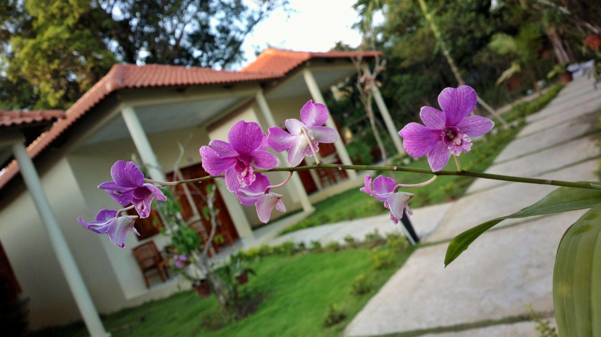 Highland Bungalow Phu Quoc Dış mekan fotoğraf